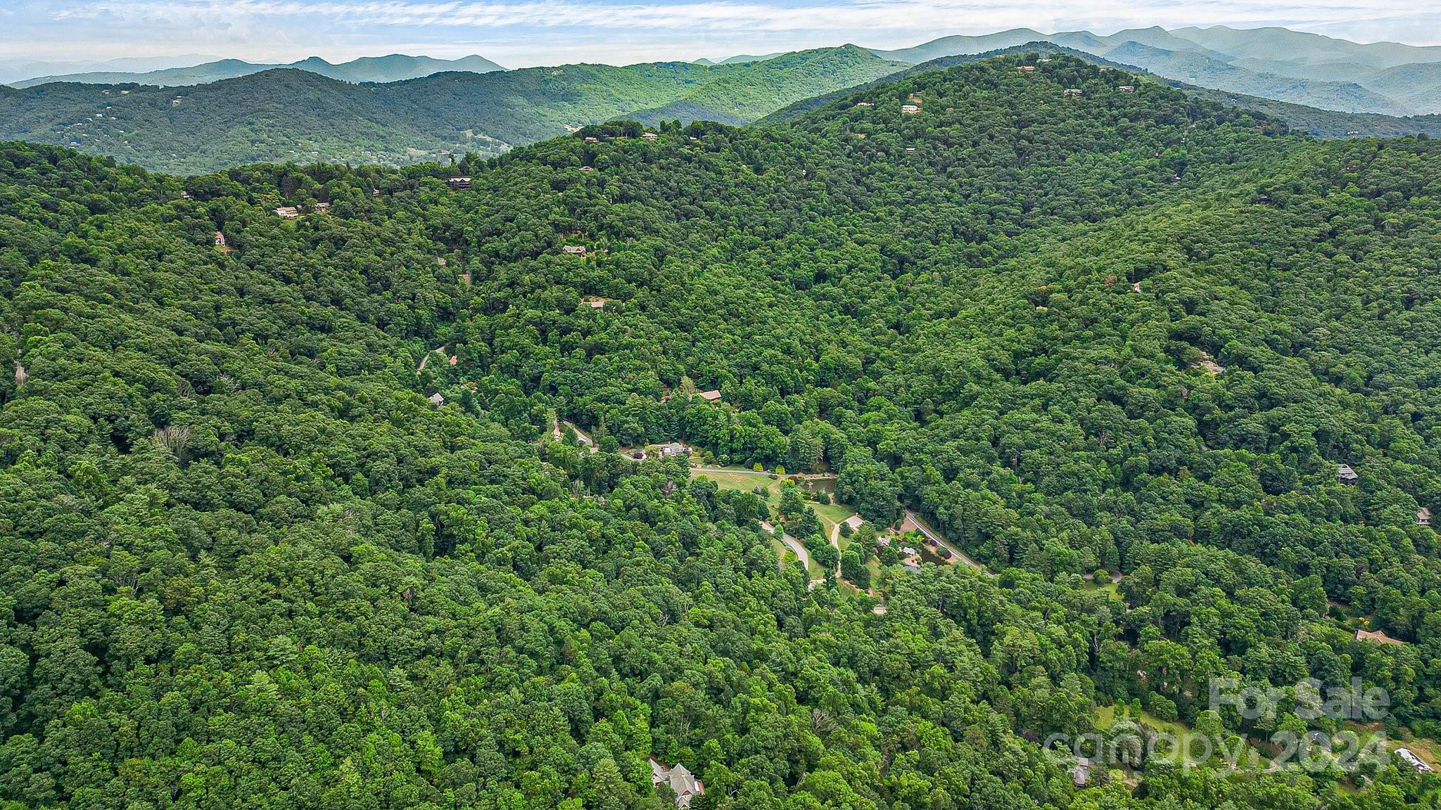99999 Vance Gap Road Asheville, NC 28805 - Photo 14 of 23 a view of a lush green forest with a mountain