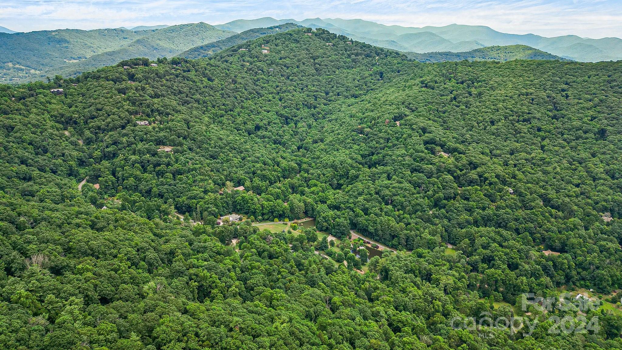 99999 Vance Gap Road Asheville, NC 28805 - Photo 15 of 23 a view of a lush green forest with lush green forest