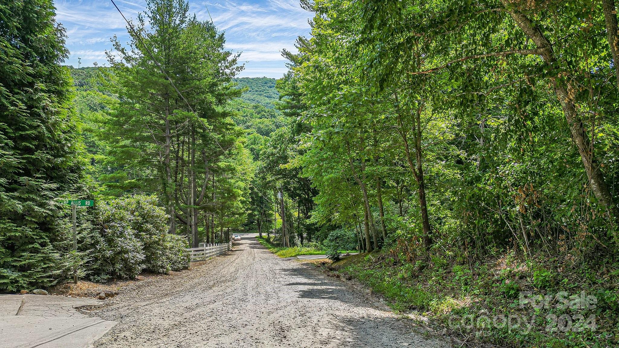 99999 Vance Gap Road Asheville, NC 28805 - Photo 17 of 23 a view of a forest with trees in the background