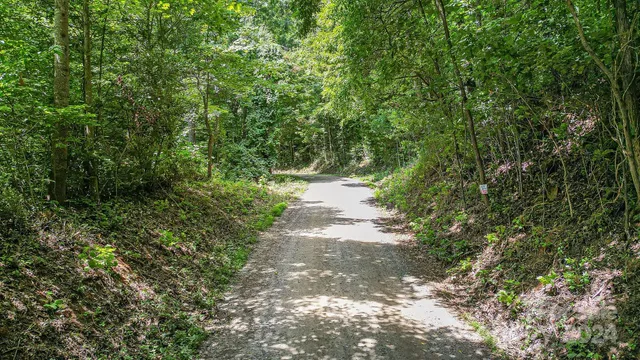 a view of a green field with lots of bushes