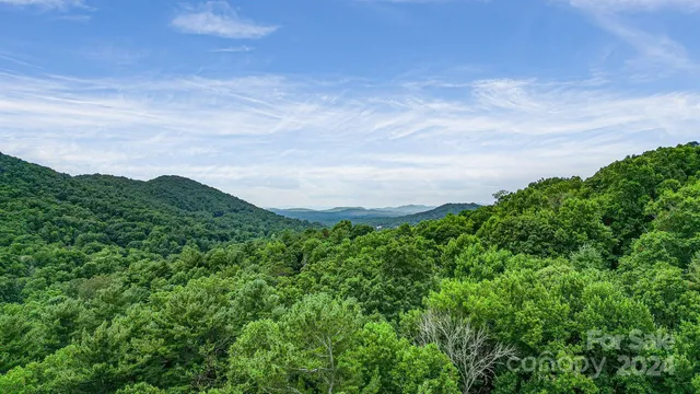 a view of a forest with a mountain in the background
