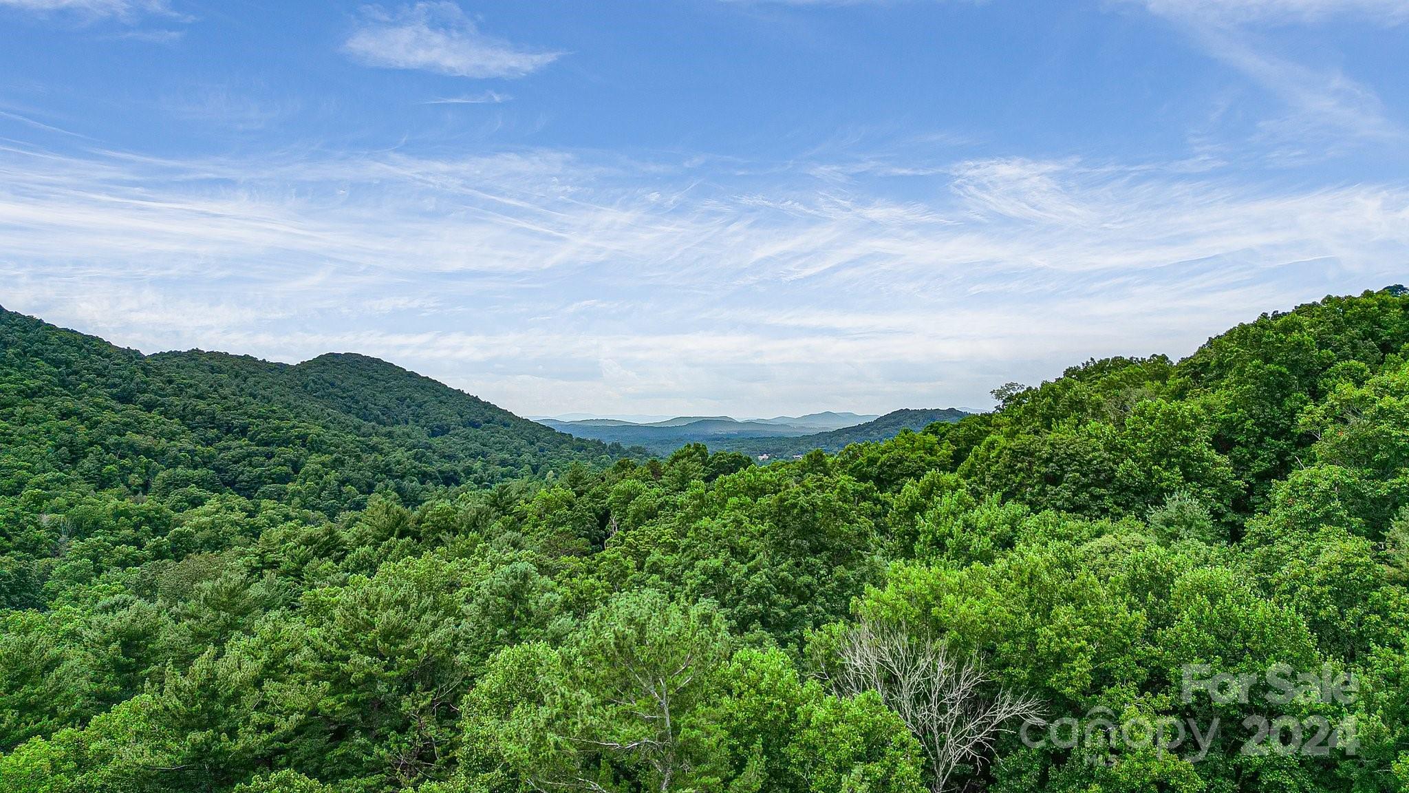 99999 Vance Gap Road Asheville, NC 28805 - Photo 20 of 23 a view of a green field with lots of bushes