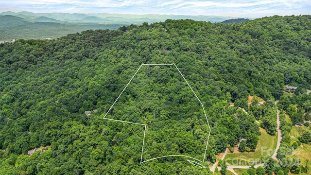 a view of a city with lush green forest