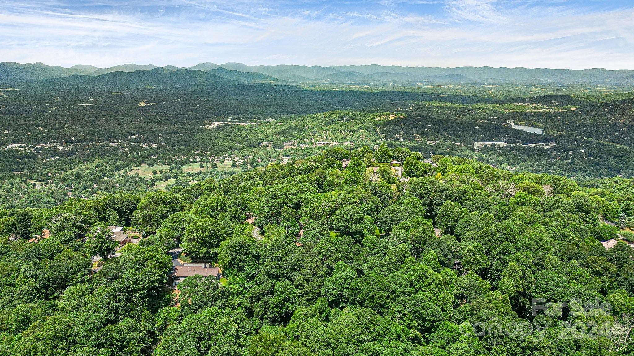 99999 Vance Gap Road Asheville, NC 28805 - Photo 21 of 23 a view of a lush green space with sea