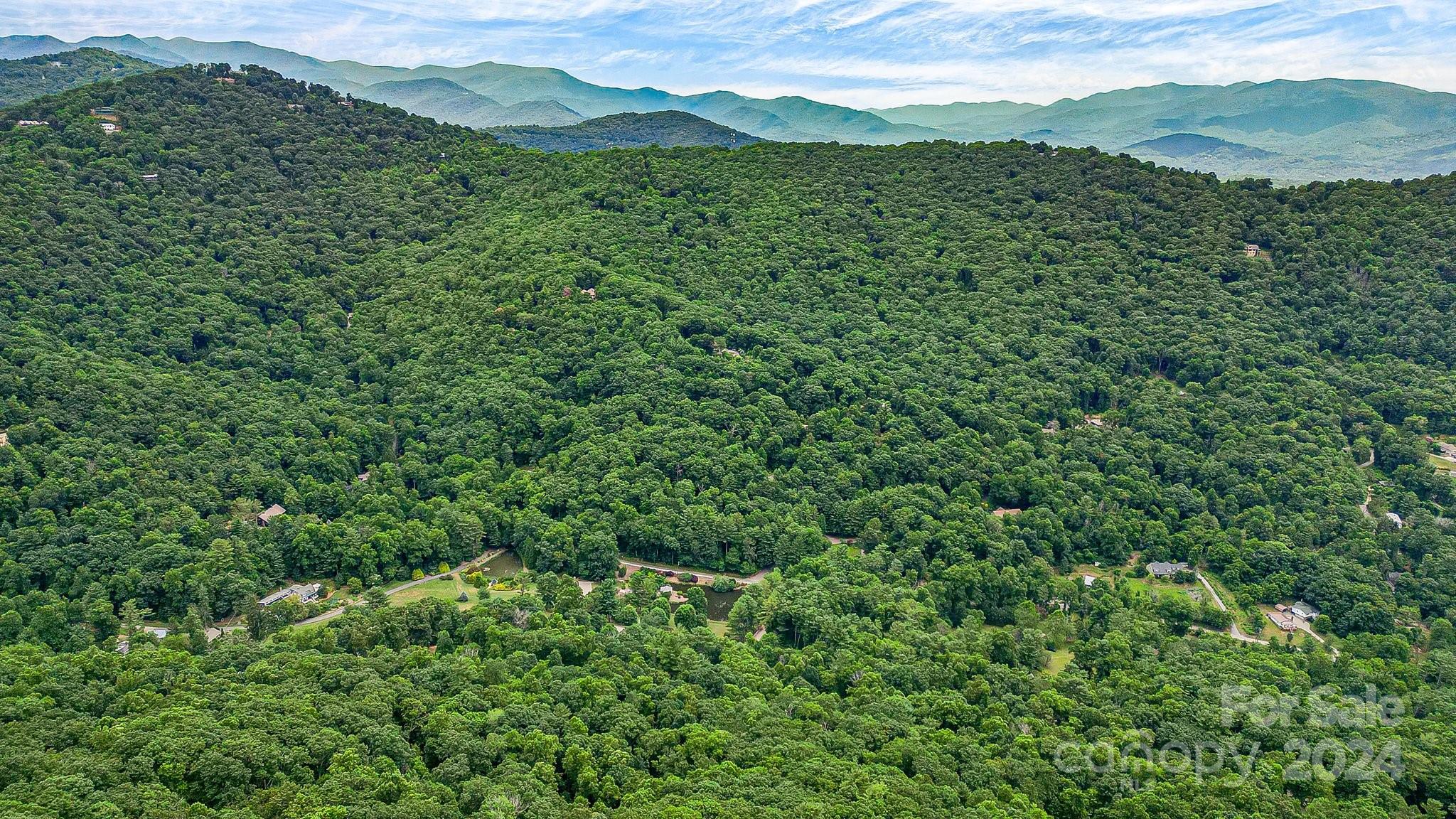 99999 Vance Gap Road Asheville, NC 28805 - Photo 22 of 23 a view of a forest with a mountain in the background