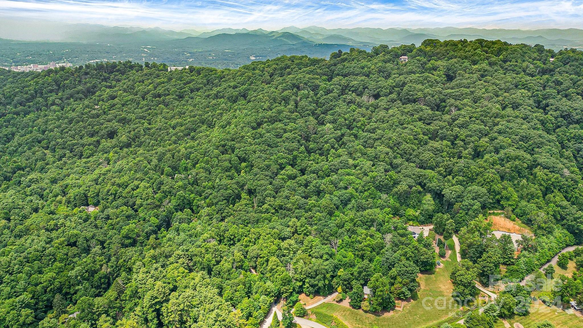 99999 Vance Gap Road Asheville, NC 28805 - Photo 23 of 23 a view of a lush green field