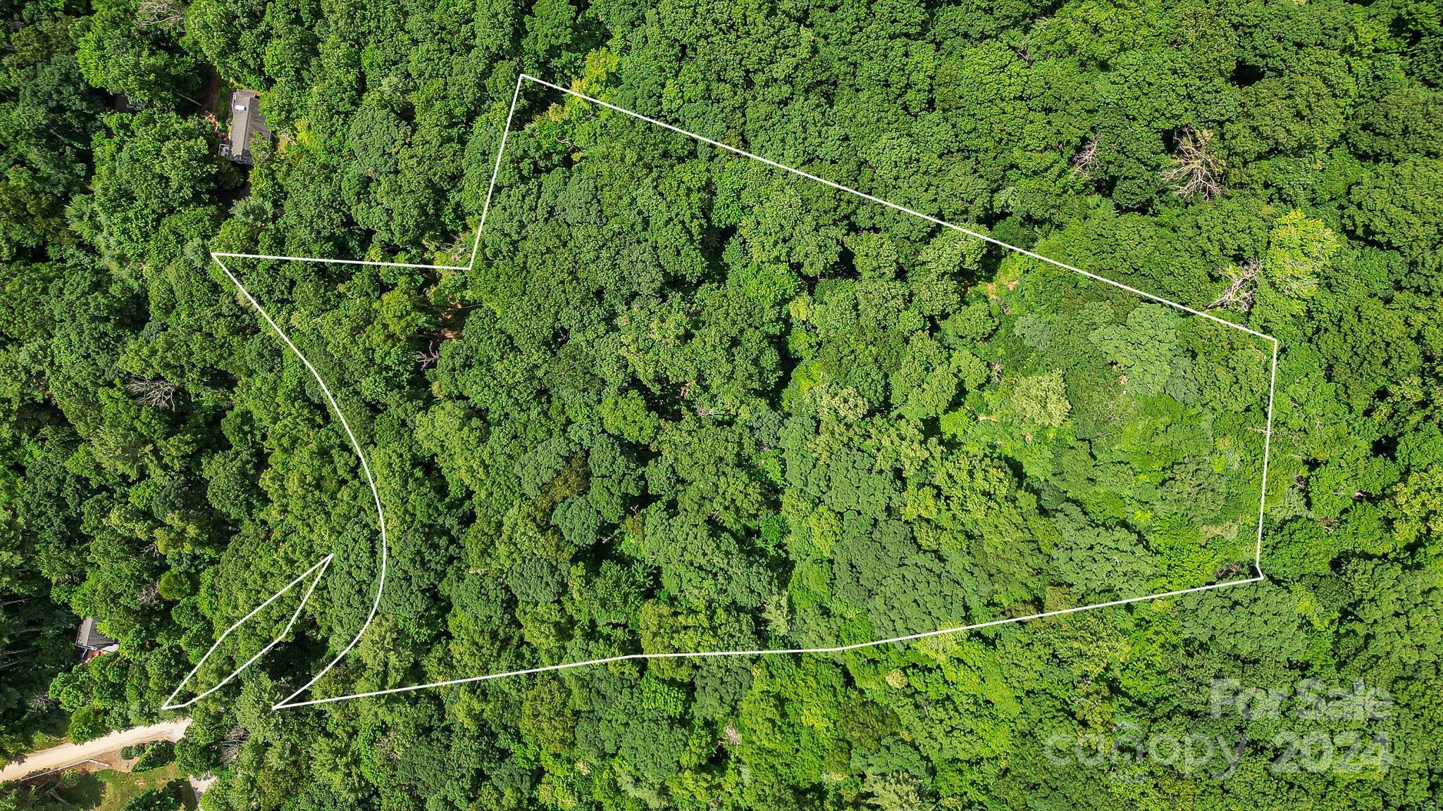 99999 Vance Gap Road Asheville, NC 28805 - Photo 3 of 23