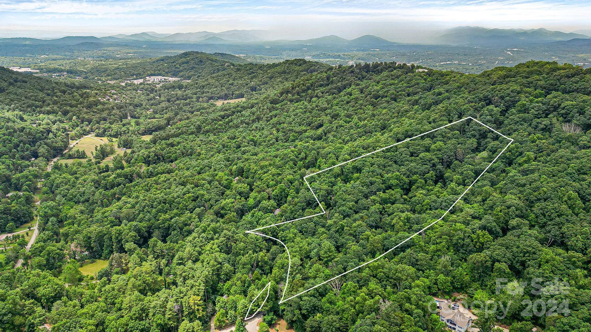 99999 Vance Gap Road Asheville, NC 28805 - Photo 4 of 23 a view of a city with lush green forest