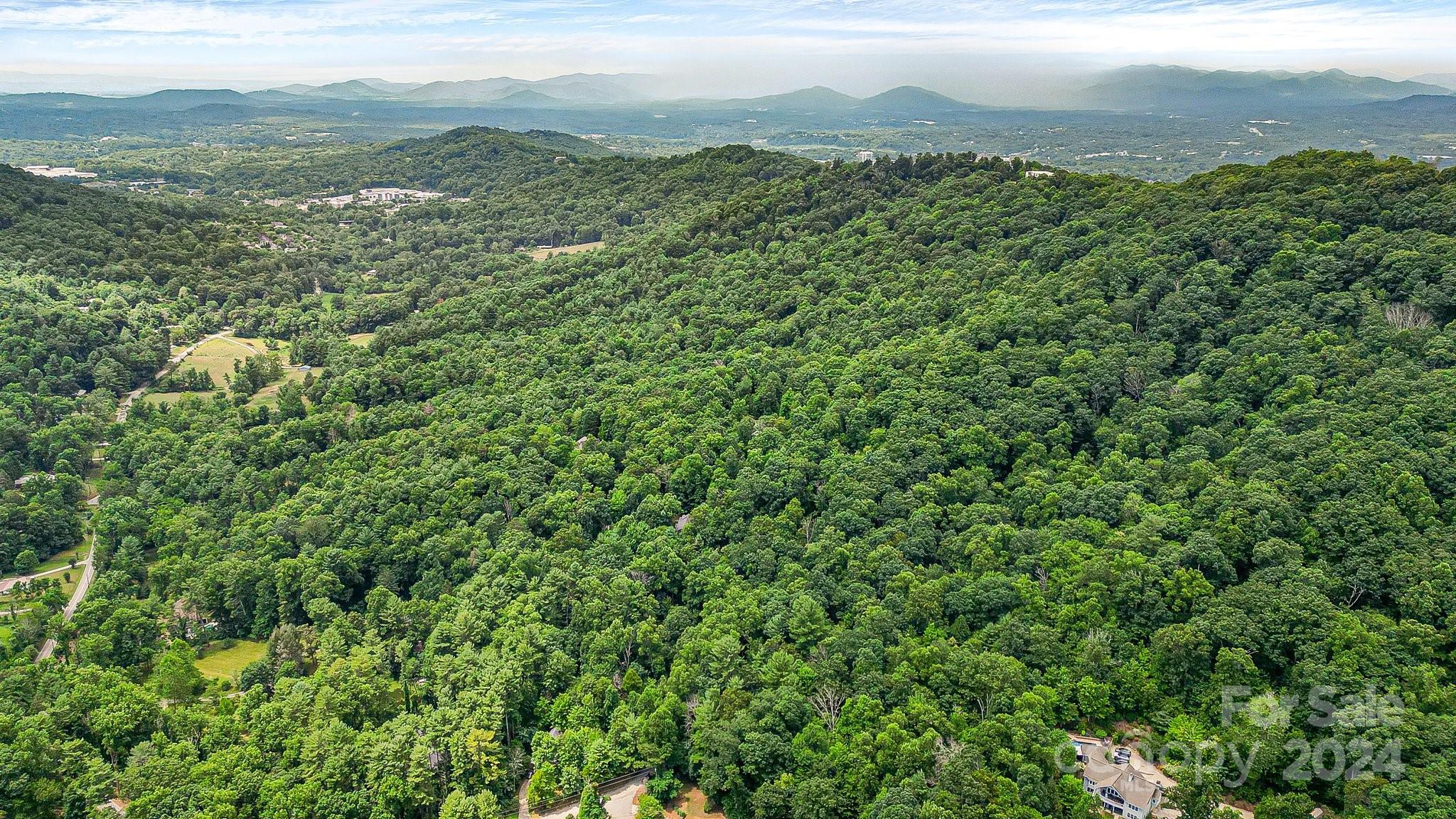 99999 Vance Gap Road Asheville, NC 28805 - Photo 5 of 23 a view of a city with lush green forest