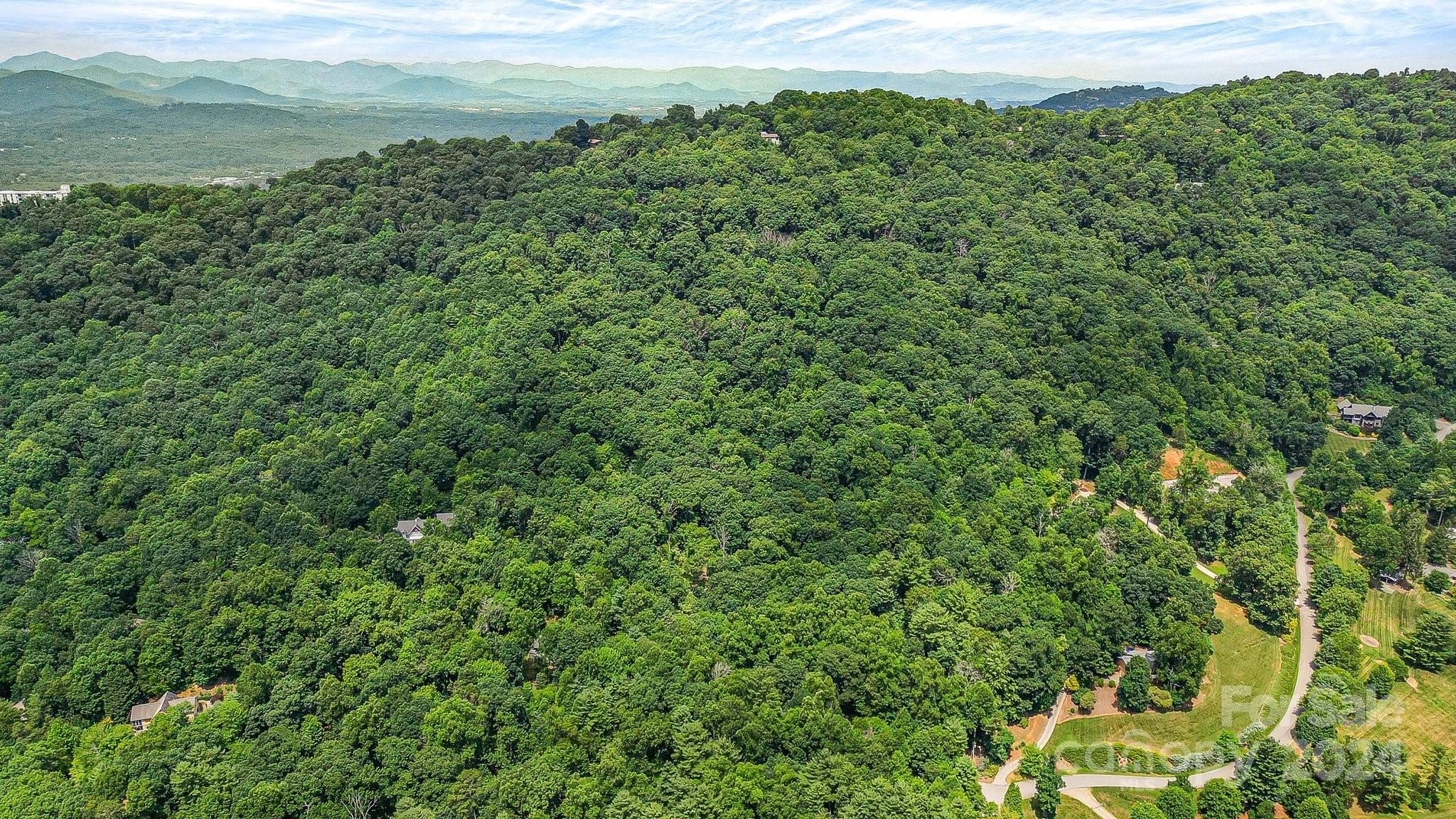 99999 Vance Gap Road Asheville, NC 28805 - Photo 6 of 23 a view of a field with an outdoor space