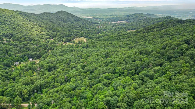 a view of a city with lush green forest