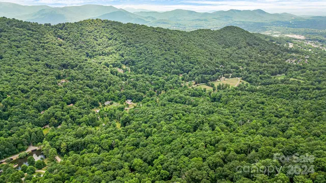 a view of a mountain range with lush green forest