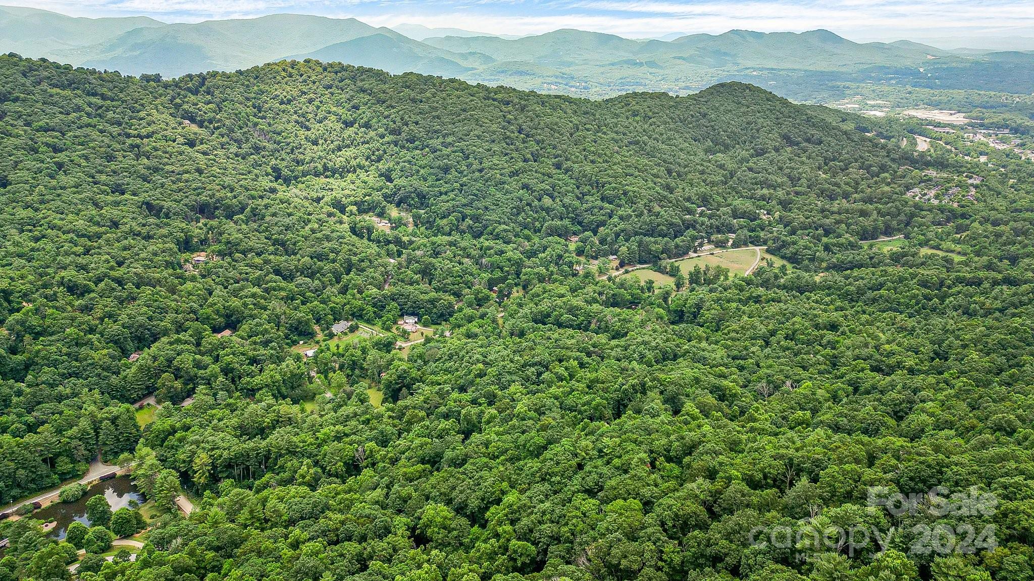 99999 Vance Gap Road Asheville, NC 28805 - Photo 8 of 23 a view of a mountain in the distance in a field