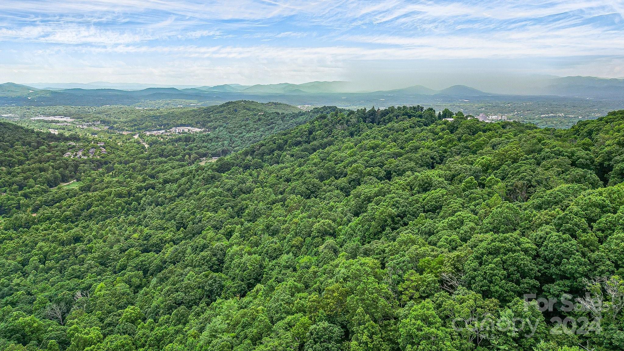 99999 Vance Gap Road Asheville, NC 28805 - Photo 9 of 23 a view of a city with lush green forest