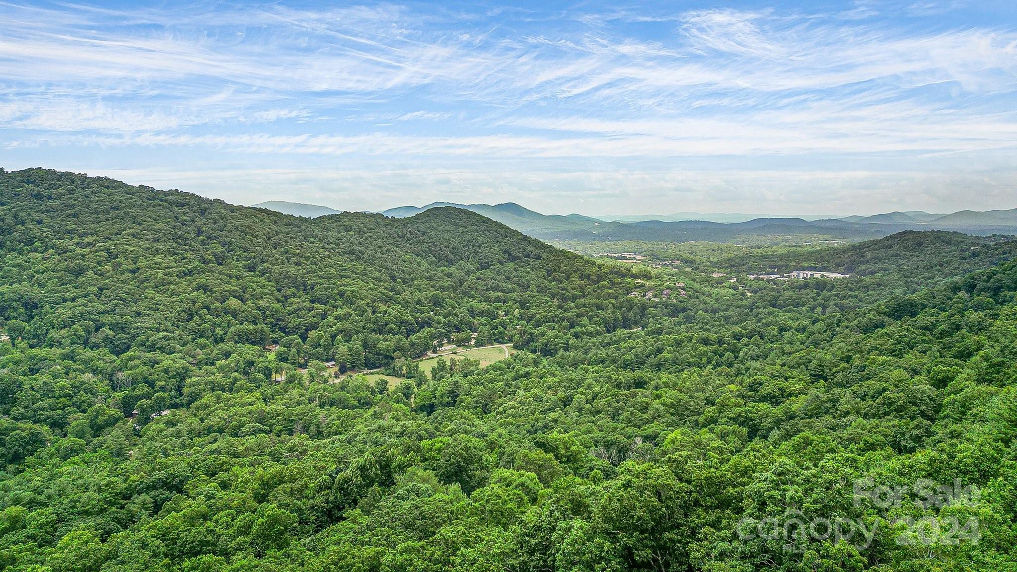99999 Vance Gap Road Asheville, NC 28805 - Photo 10 of 23 a view of a mountain range with lush green forest