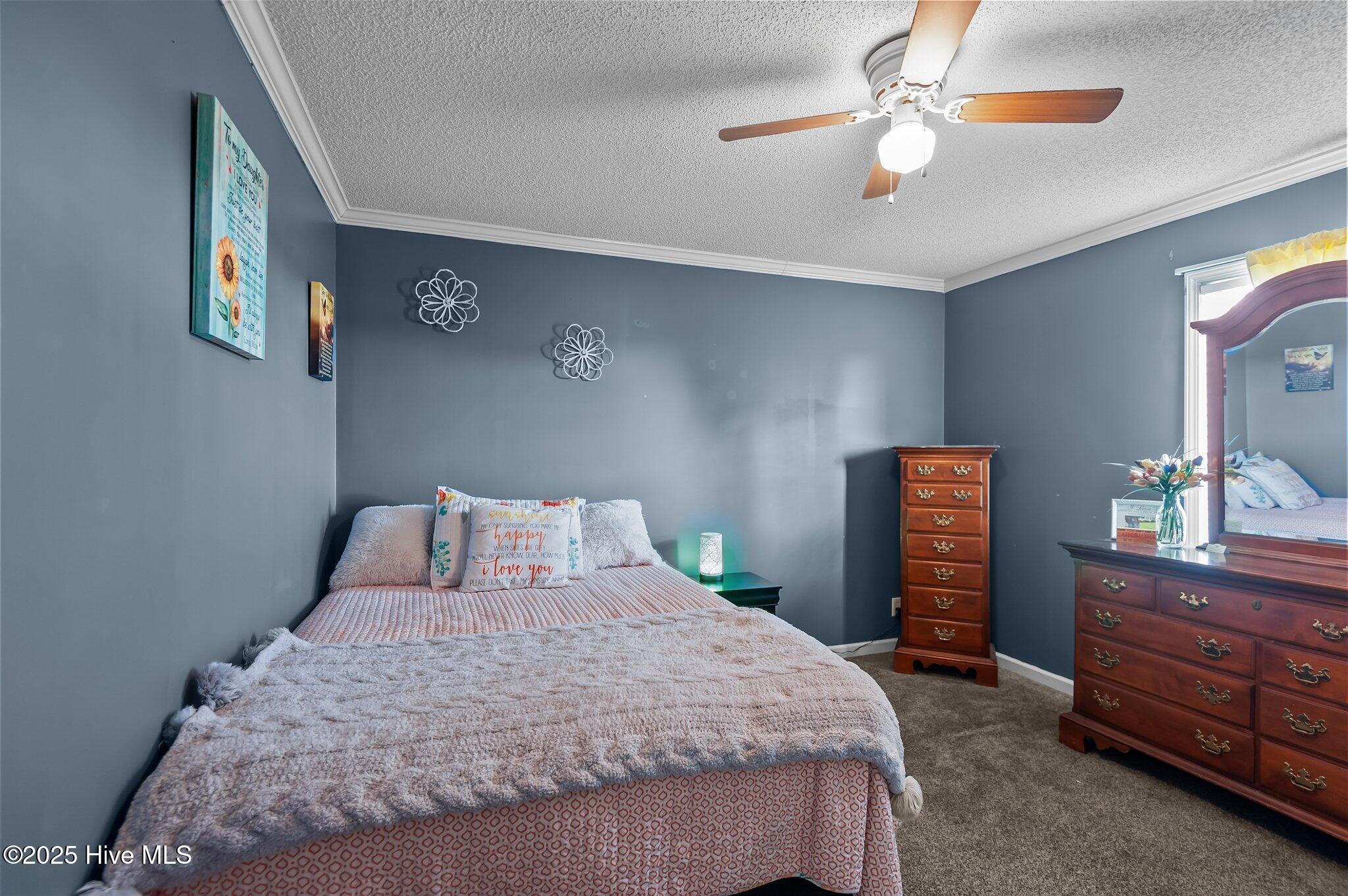 339 Dailtown Road Snow Hill, NC 28580 - Photo 19 of 45 19-web-or-mls-_DSC0336