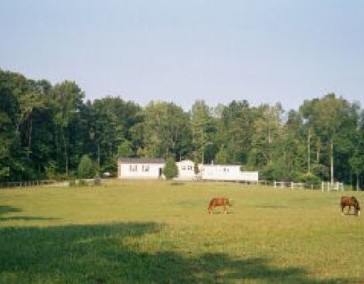 Primary Photo