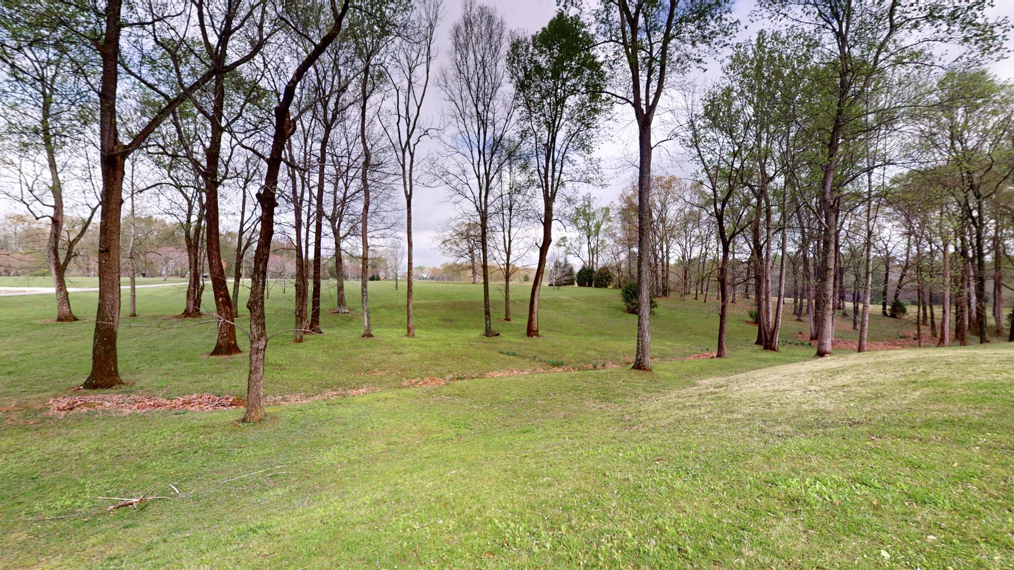 585 Scoby Road Paris, TN 38242 - Photo 34 of 54 Gallery Image 34