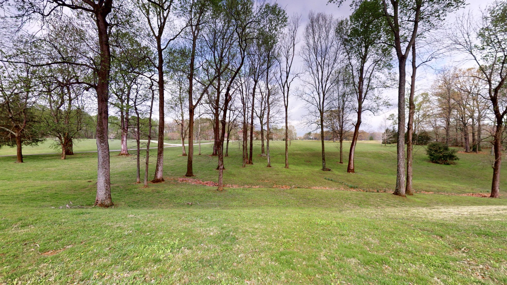 585 Scoby Road Paris, TN 38242 - Photo 35 of 54 Gallery Image 35