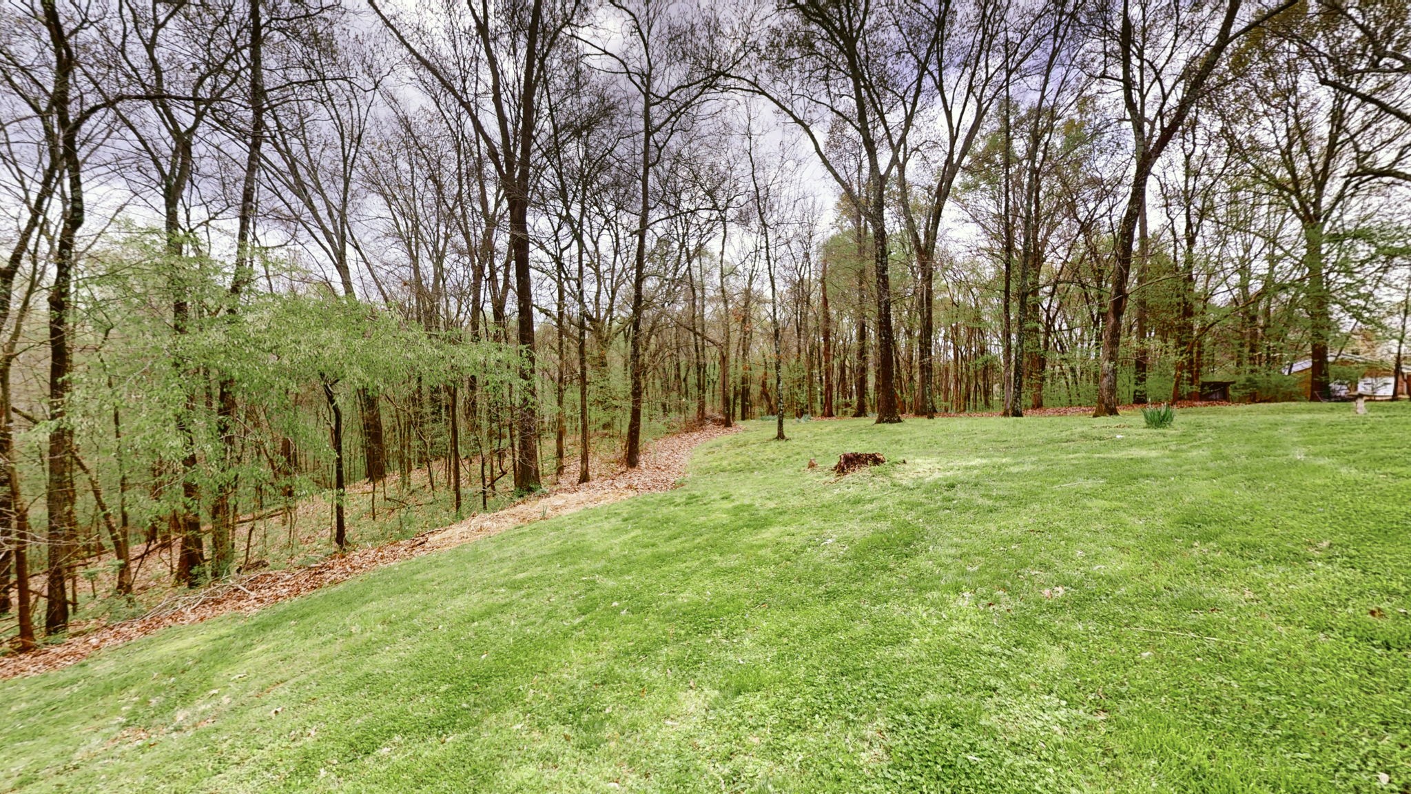 585 Scoby Road Paris, TN 38242 - Photo 46 of 54 Gallery Image 46