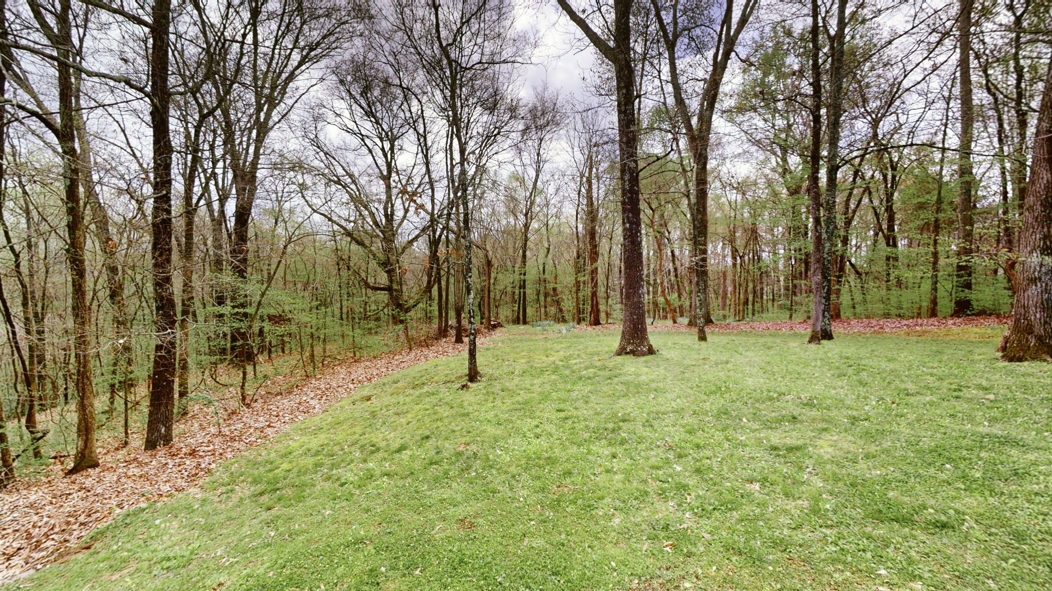 585 Scoby Road Paris, TN 38242 - Photo 47 of 54 Gallery Image 47