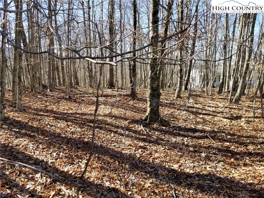 237 Upper Grouse Ridge Road Beech Mountain, NC 28604 - Photo 8 of 14 Gallery Image 8