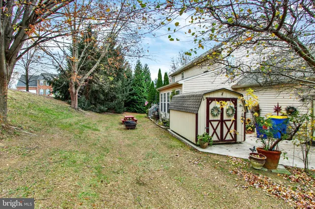 a view of a backyard with large trees