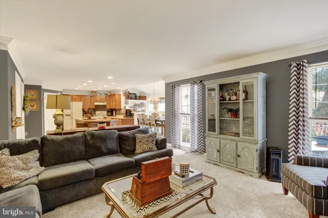 a living room with furniture or couch and a potted plant