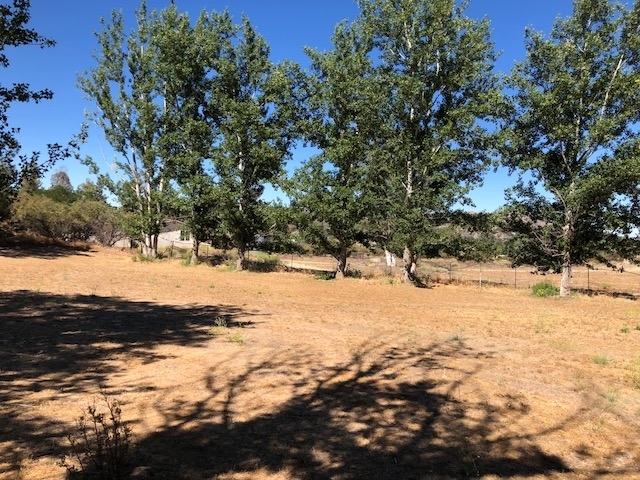 30105 Hartfell Road Campo, CA 91906 - Photo 23 of 25 Gallery Image 23