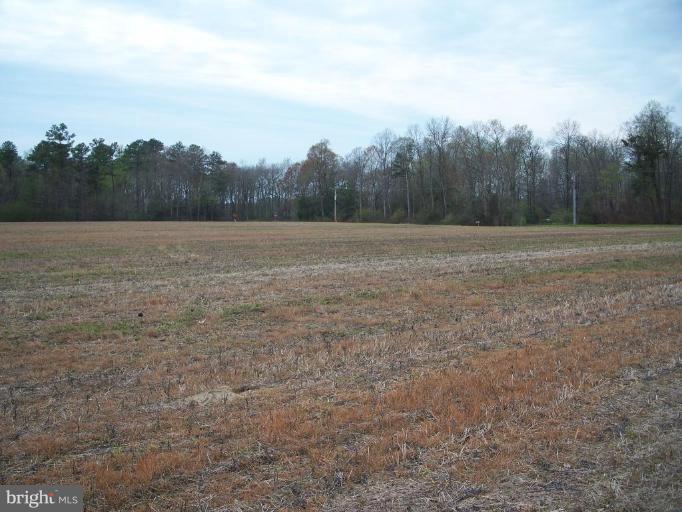 7455 Dyer Road Denton, MD 21629 - Photo 6 of 19 Wooded View / Acreage
