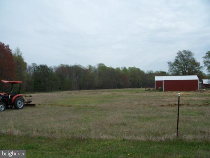 7455 Dyer Road Denton, MD 21629 - Photo 7 of 19 Pasture