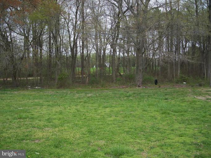 7455 Dyer Road Denton, MD 21629 - Photo 8 of 19 Wooded View / Acreage 2
