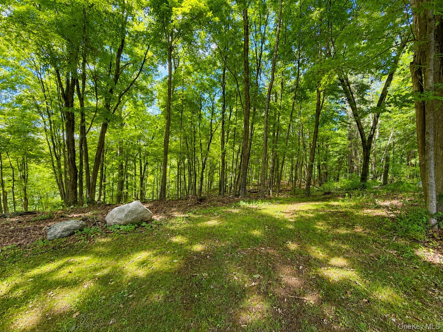 105 Welfare Road Brewster, NY 10509 - Photo 16 of 20