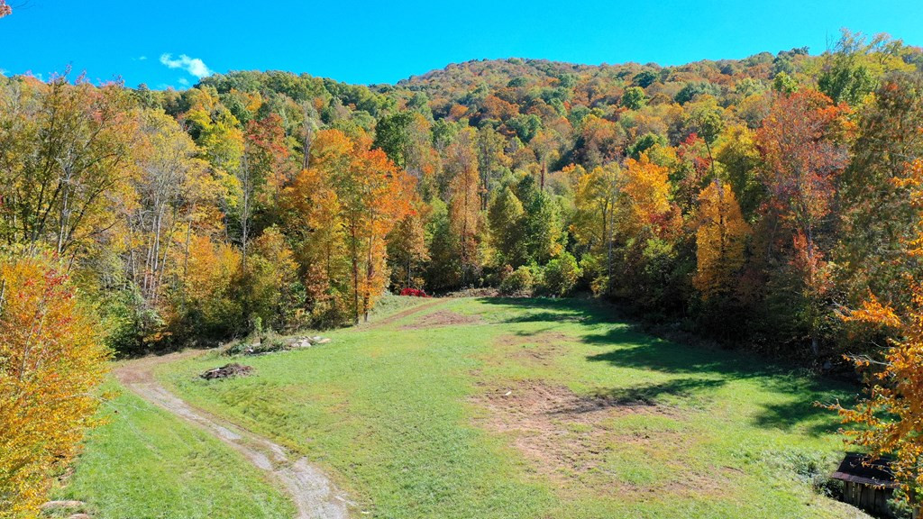 575 Vestal Cochran Road Topton, NC 28781 - Photo 37 of 53