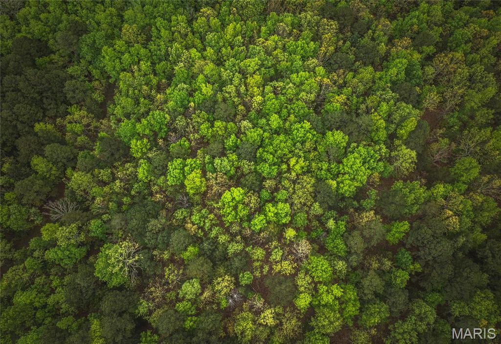 0 Deer Run Drive Licking, MO 65542 - Photo 16 of 24