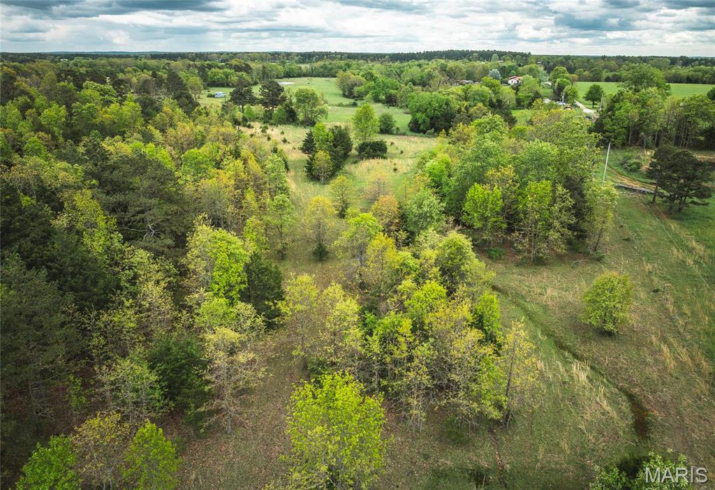 0 Deer Run Drive Licking, MO 65542 - Photo 18 of 24