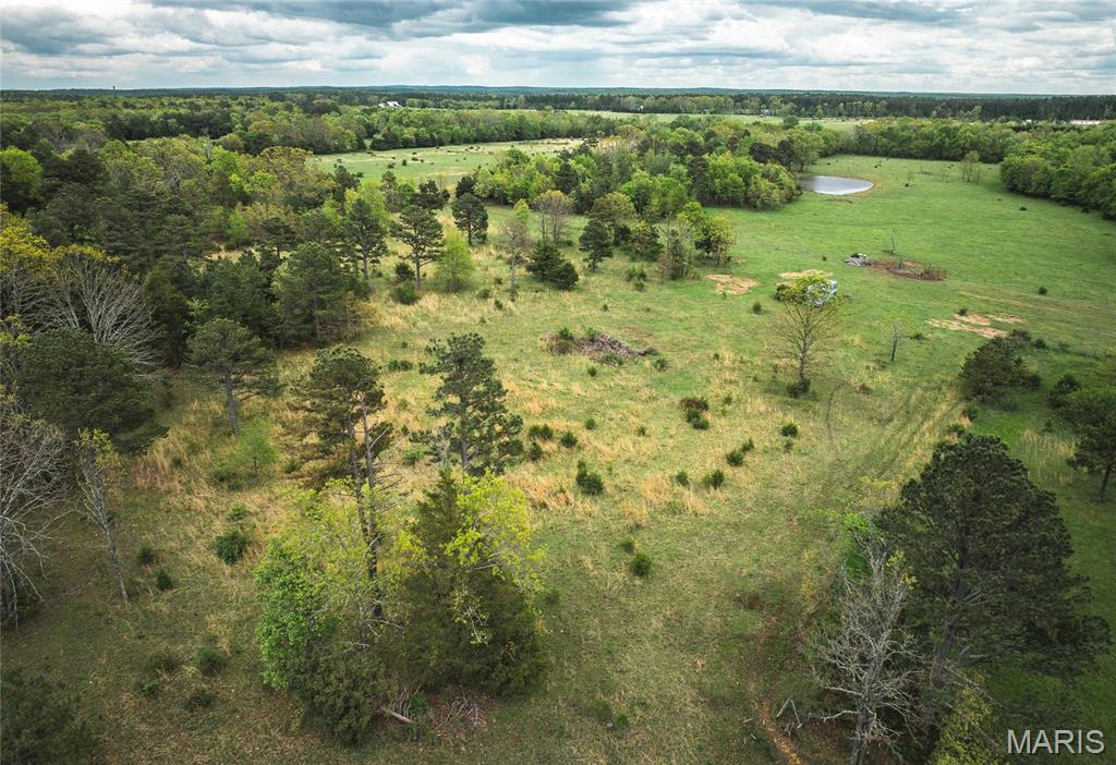 0 Deer Run Drive Licking, MO 65542 - Photo 19 of 24