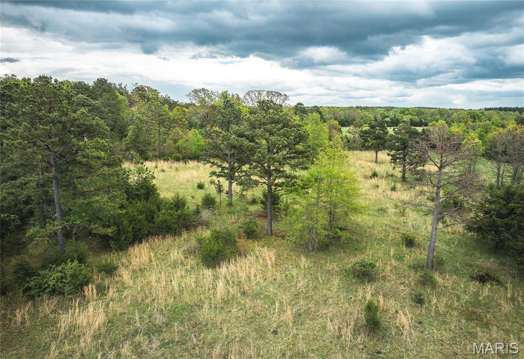 0 Deer Run Drive Licking, MO 65542 - Photo 20 of 24