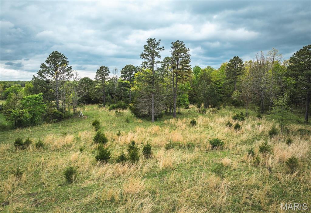 0 Deer Run Drive Licking, MO 65542 - Photo 22 of 24