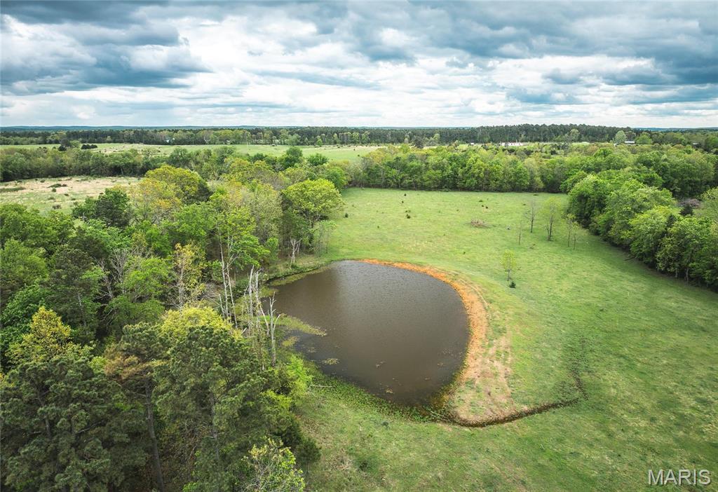 0 Deer Run Drive Licking, MO 65542 - Photo 3 of 24