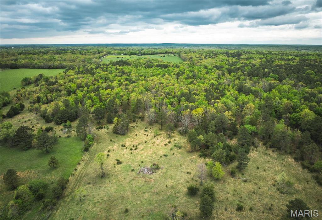 0 Deer Run Drive Licking, MO 65542 - Photo 7 of 24