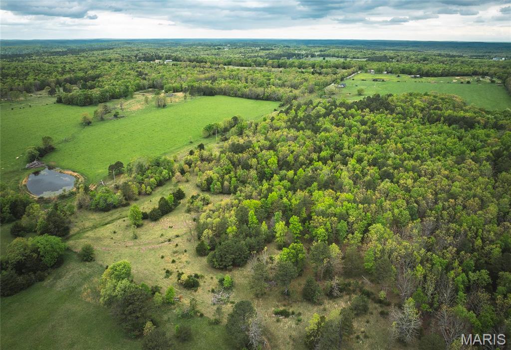 0 Deer Run Drive Licking, MO 65542 - Photo 8 of 24