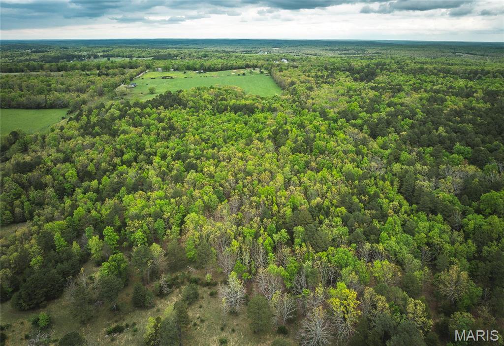 0 Deer Run Drive Licking, MO 65542 - Photo 9 of 24