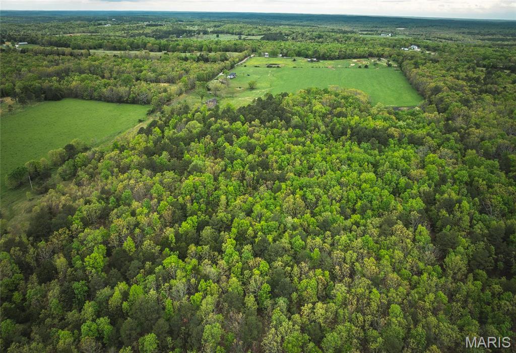 0 Deer Run Drive Licking, MO 65542 - Photo 10 of 24