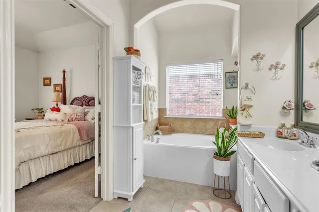 a backyard with potted plants and a large tree