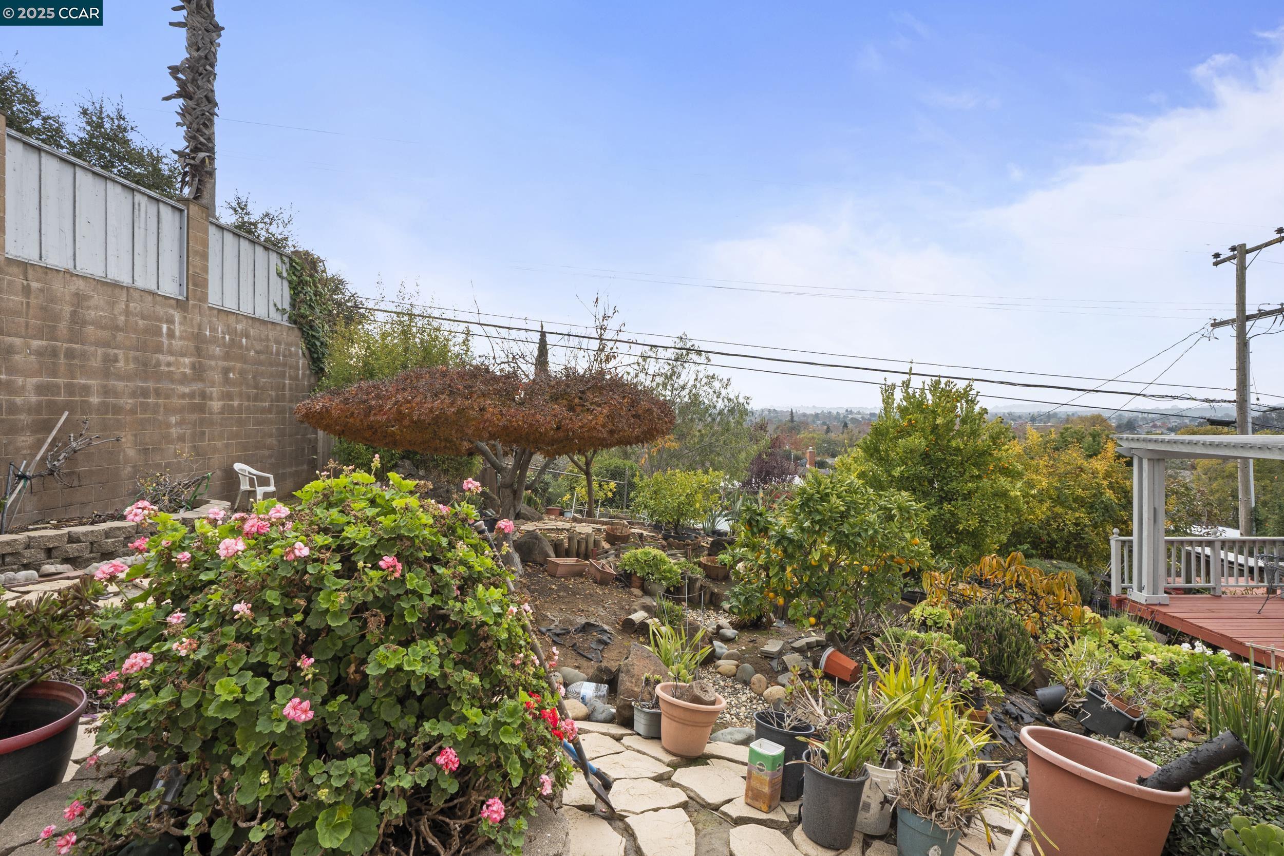 419 Clark Drive Vallejo, CA 94591 - Photo 32 of 39 a view of a garden with plants and brick wall