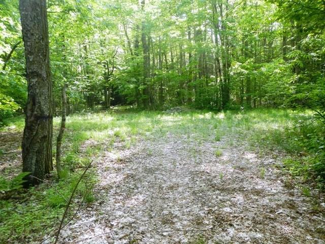 Lot 14 Stanhope Mill Road Lincoln, ME 04457 - Photo 5 of 15 Photo