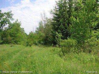 13332 Bemis Road Manchester, MI 48158 - Photo 6 of 25 5