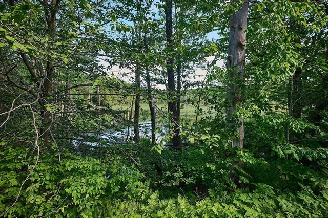 a view of a green yard
