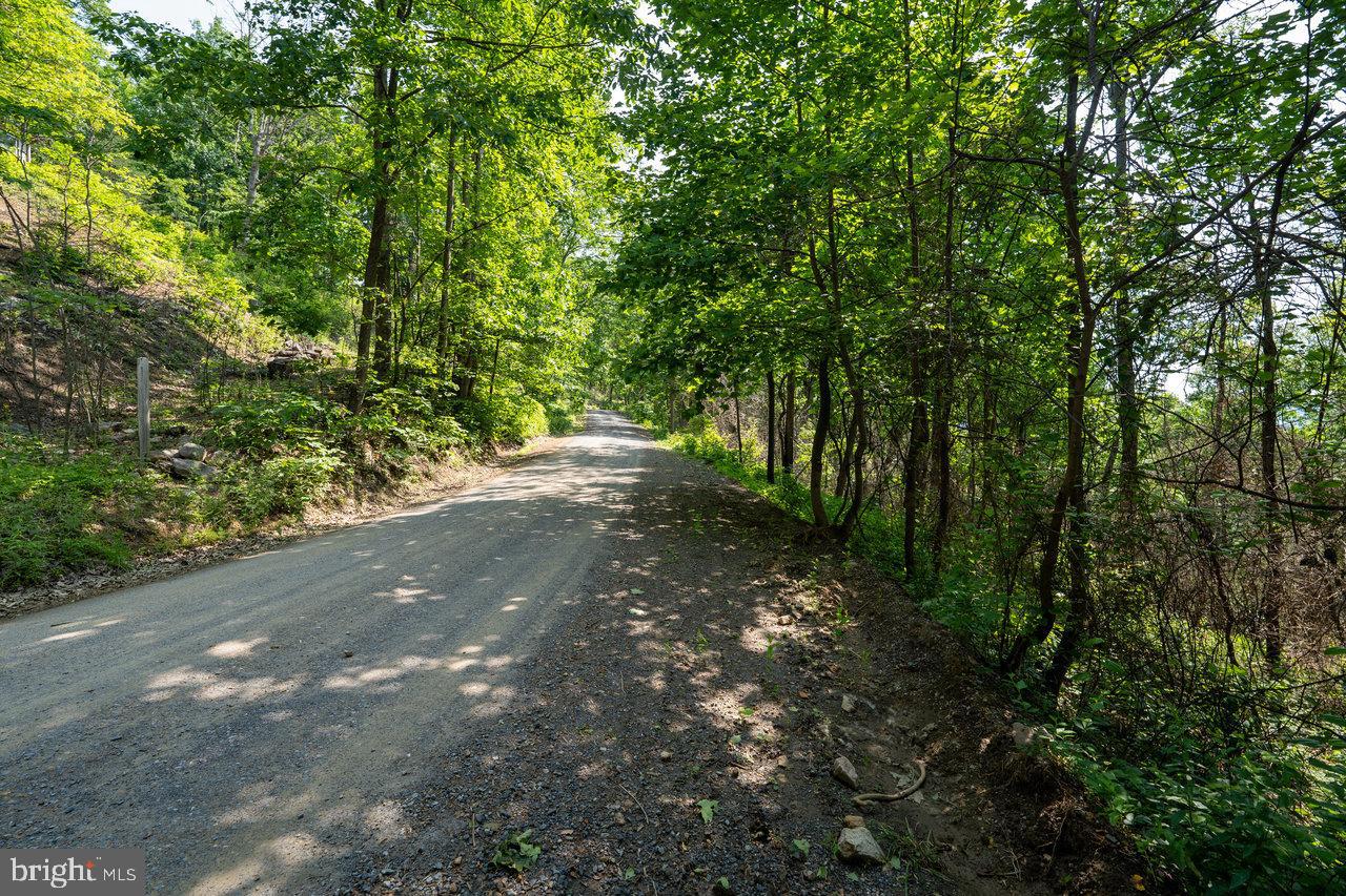 0 Hidden Road Luray, VA 22835 - Photo 31 of 31 Gallery Image 31